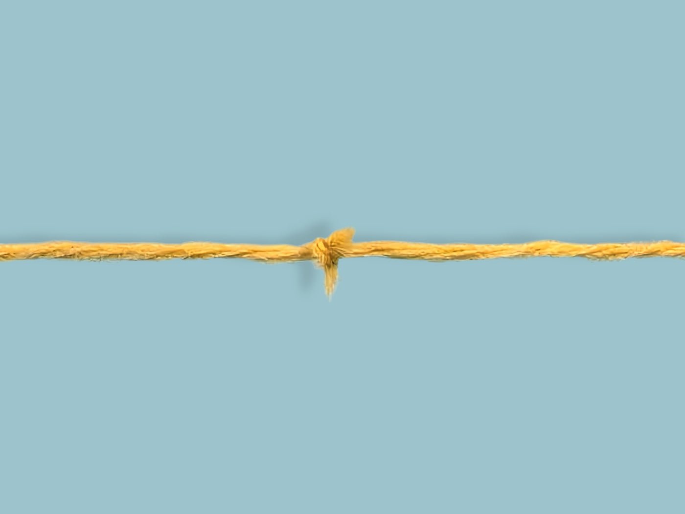 Knoten im Knäuel – Knoten im Gestrick? - Pascuali